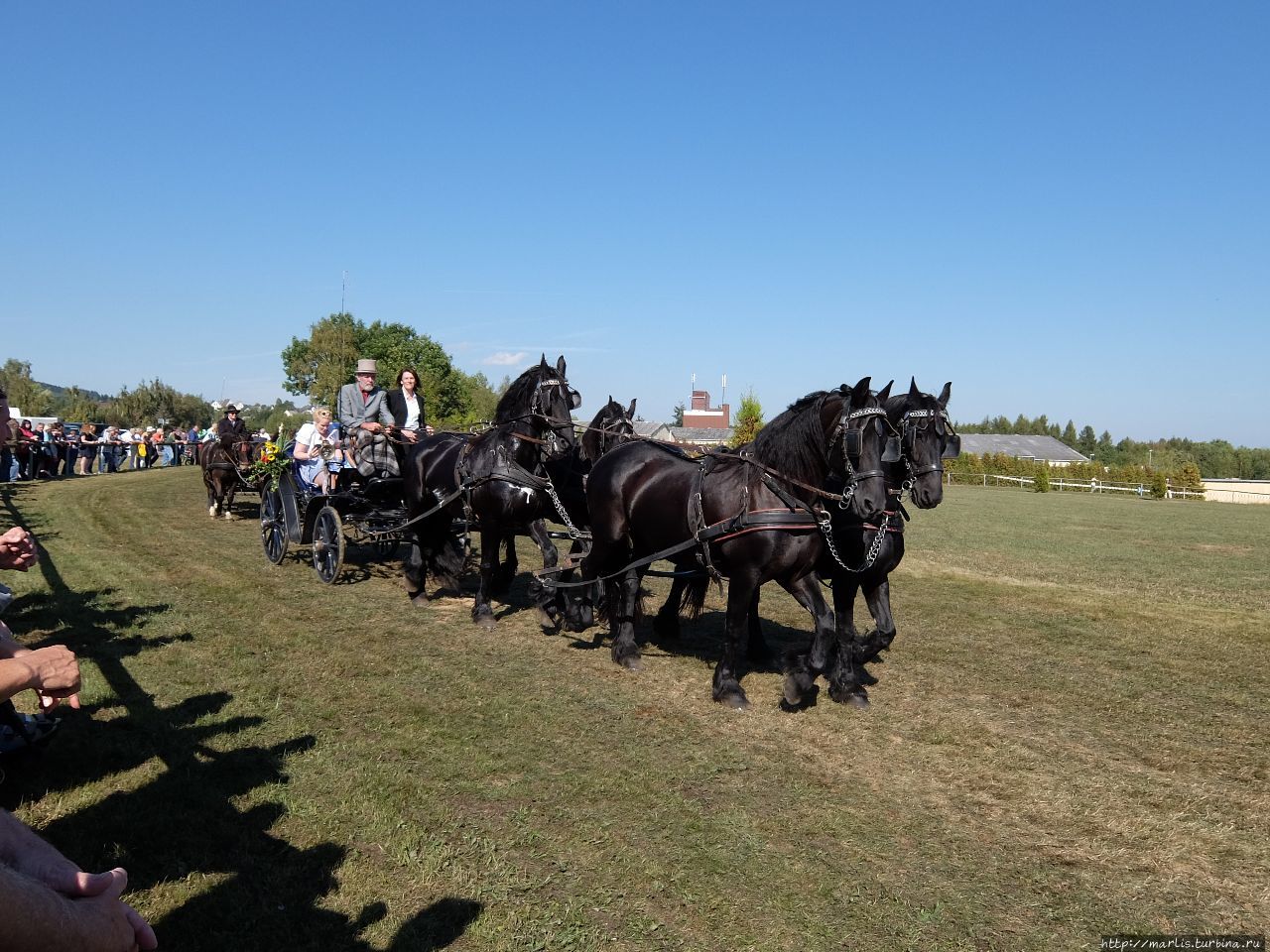Баба з возу — кобыле легше Фишбах, Германия Баба з возу — кобыле легше Фишбах, Германия