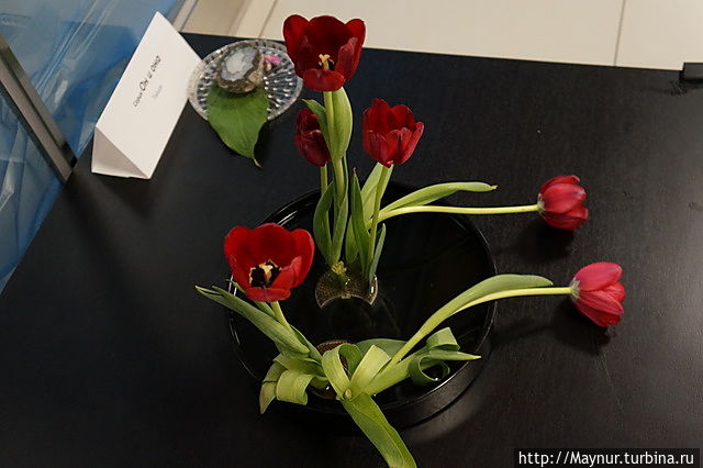 Фантазии флористов Южно-Сахалинск, Россия Фантазии флористов Южно-Сахалинск, Россия