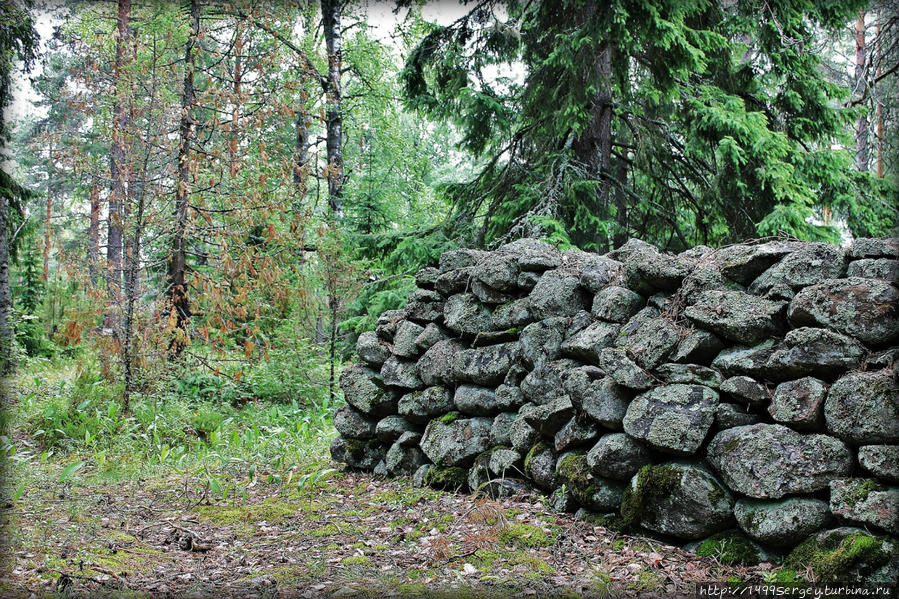 В гармонии с природой Париккала, Финляндия