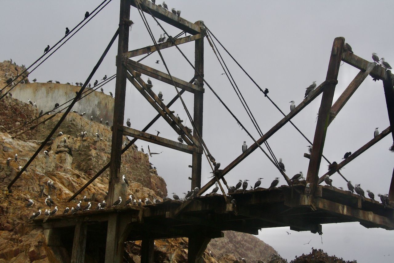 Станция добычи гуано Острова Бальестас Национальный Резерват, Перу