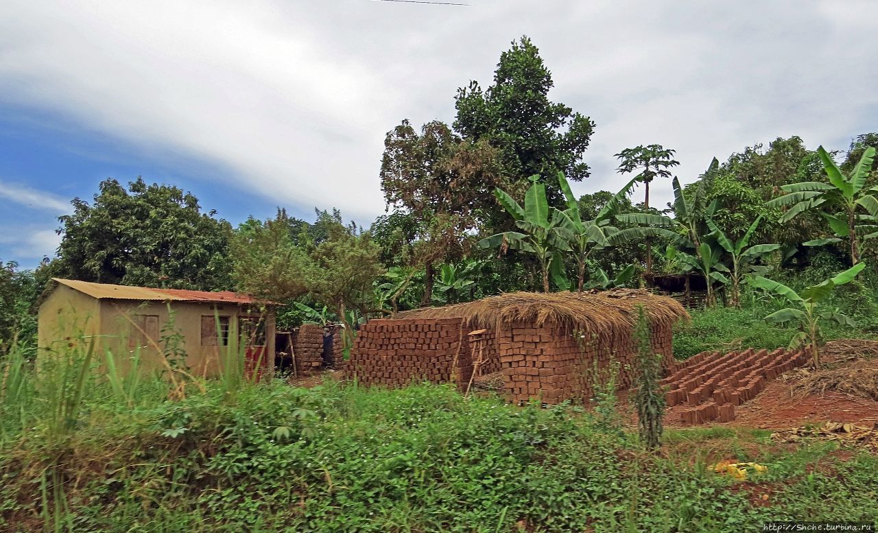За окном — Угандщина Центральный регион, Уганда