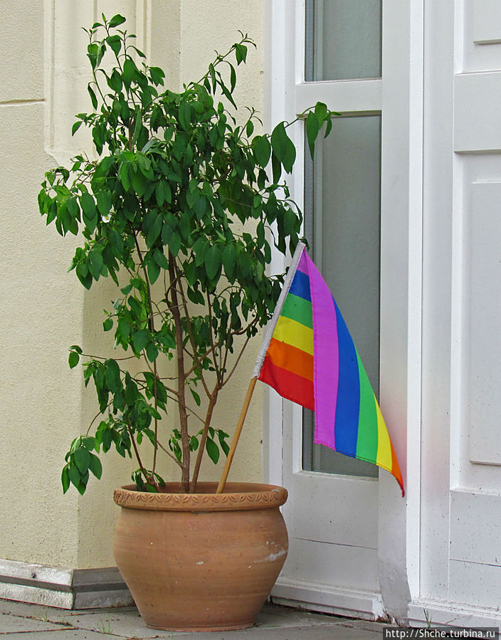 а тут живут а тут живут