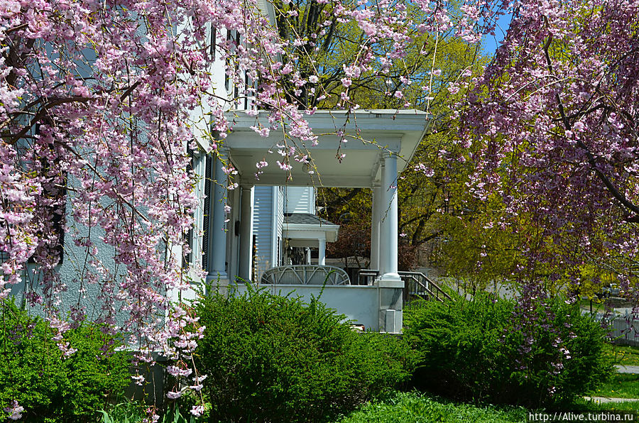 Здесь можно скушать ланч Ли, CША Здесь можно скушать ланч Ли, CША