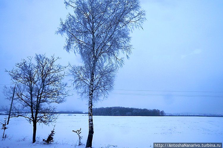 Зимняя Ивано-Франковщина Ивано-Франковская область, Украина
