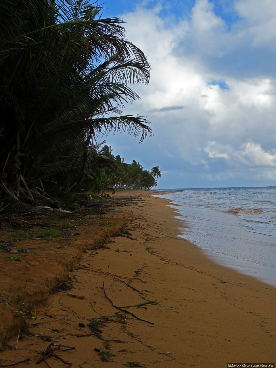 Типа пляжный отдых в Пуэрто-Рико - 1,5 купаний за неделю