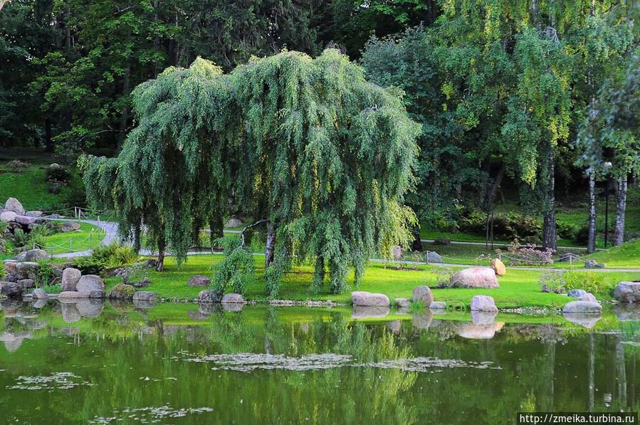 Японский сад (тоже в Кадриорге) — вот где можно обрести гармонию с собой Таллин, Эстония