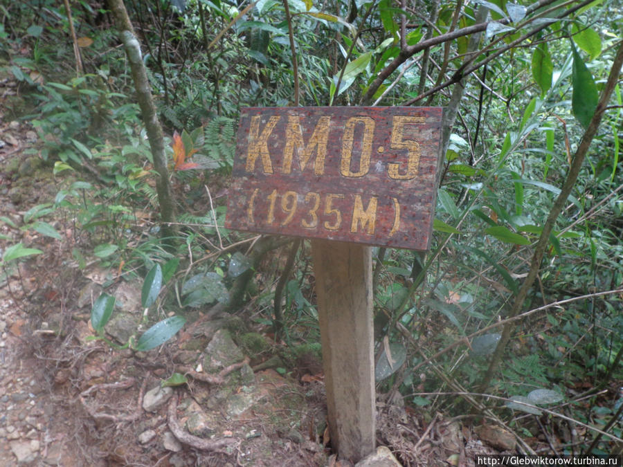 Подъем на гору Кинабалу ч.2 Гора Кинабалу Национальный Парк (4095м), Малайзия