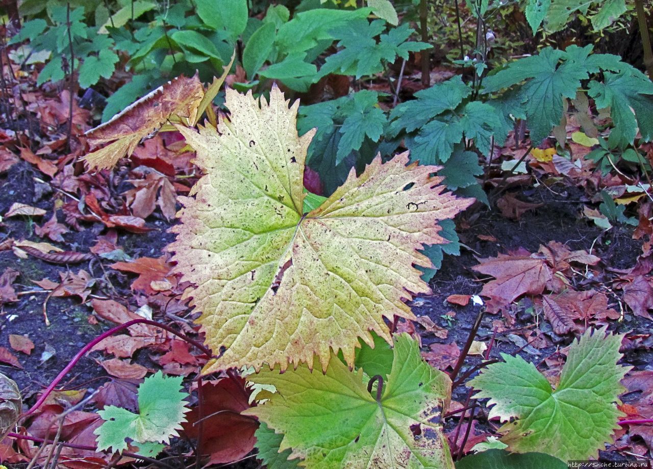 район Майорштюн Осло, Норвегия район Майорштюн Осло, Норвегия