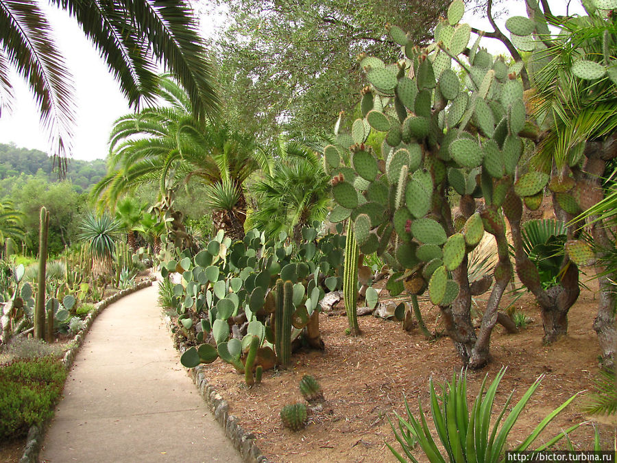 Сады Пинья де Роса Бланес, Испания