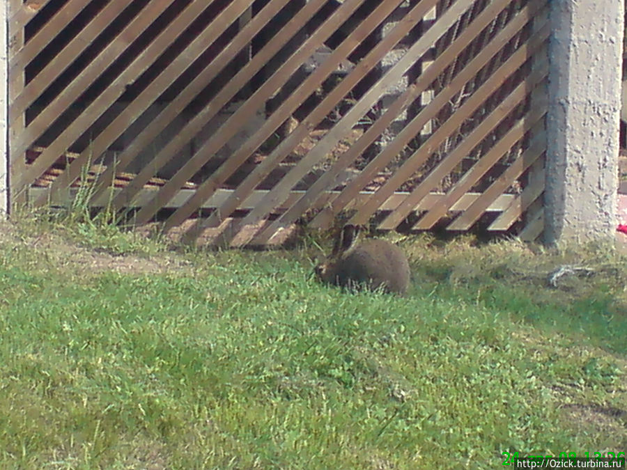 Змеиные острова Мариехамн, Аланды Змеиные острова Мариехамн, Аланды