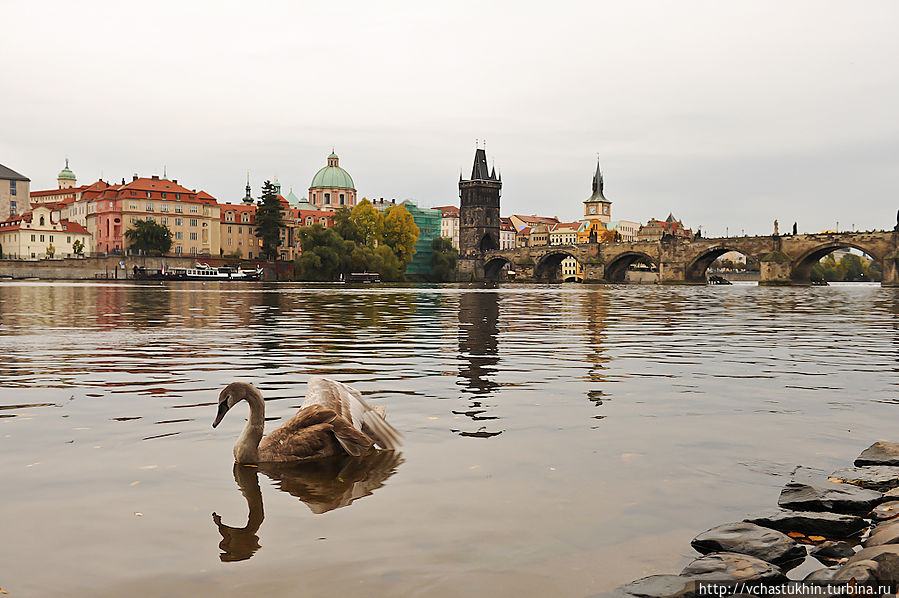 р. Влтава, вид на Карлов мост, вечер. р. Влтава, вид на Карлов мост, вечер.