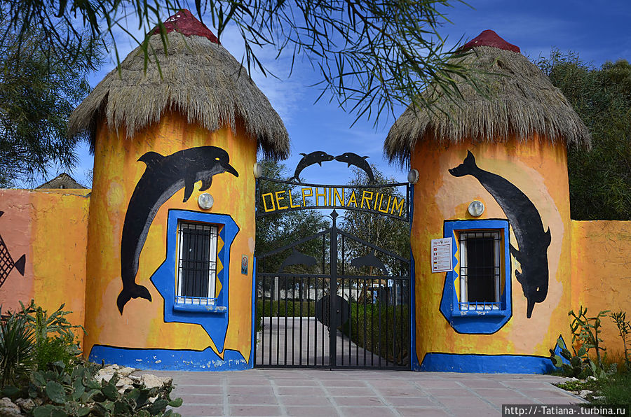 Парк зверей Хаммамет, Тунис Парк зверей Хаммамет, Тунис