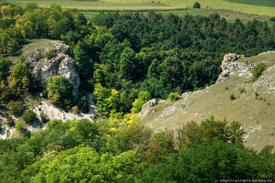 Ущелье Борта Чунтулуй, Бричанский р-он Молдова