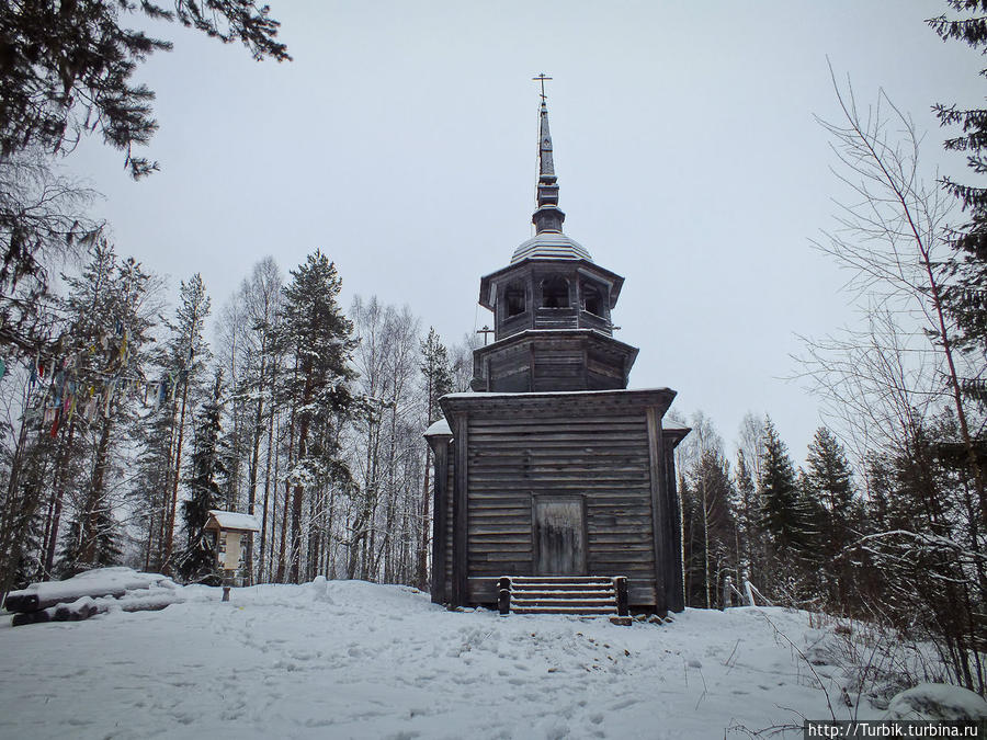церковь Александра Свирского Каргополь, Россия