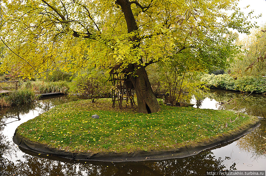 Чудесные цвета. Чудесные цвета.