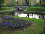 Весна в Михайловском саду