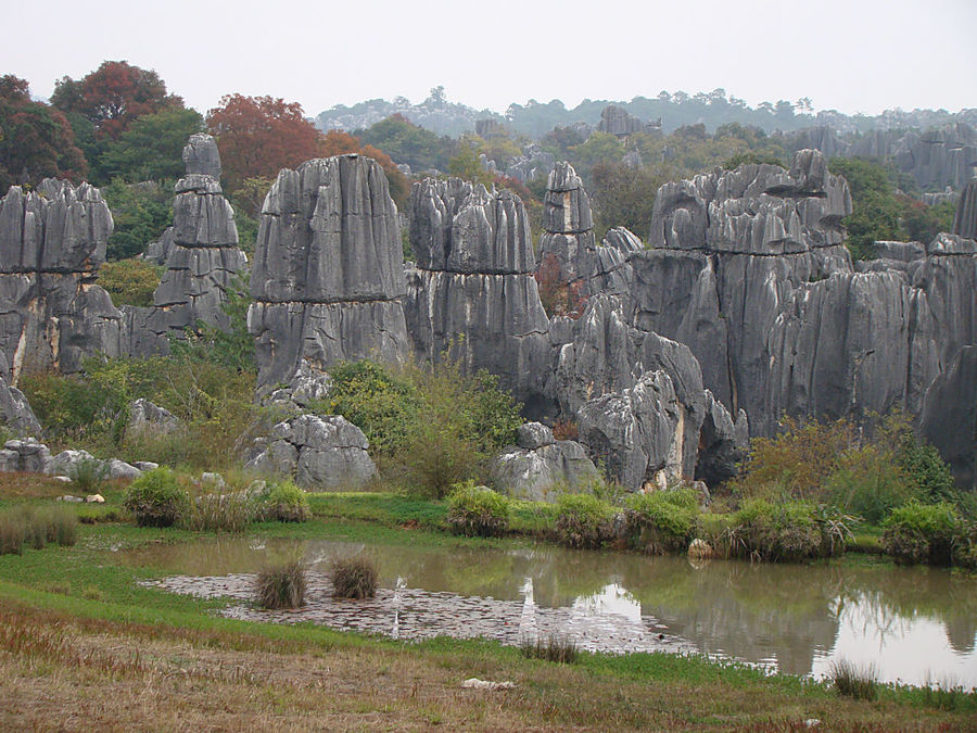 Осень в Каменном лесу Куньмин, Китай