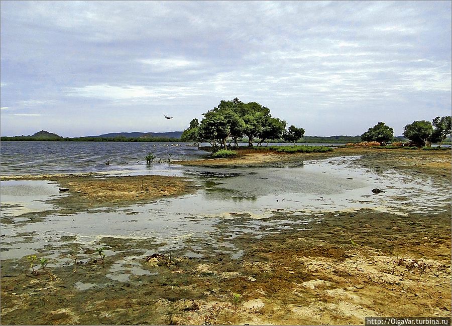Под покровом огненного холма Тринкомали, Шри-Ланка Под покровом огненного холма Тринкомали, Шри-Ланка