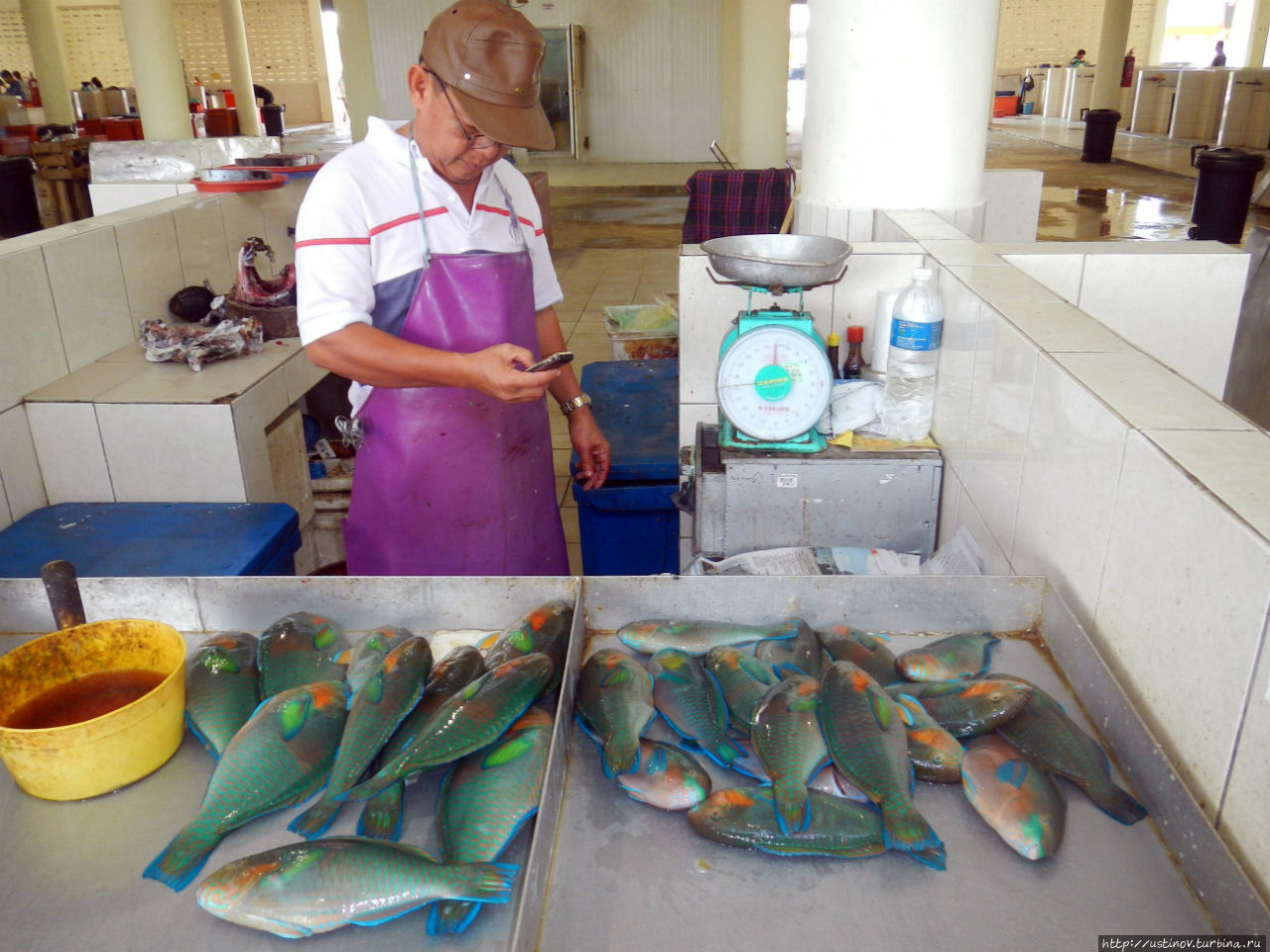Самый стерильный и цивильный рыбный рынок Азии, о-в Лабуан Федеральная территория Лабуан, Малайзия