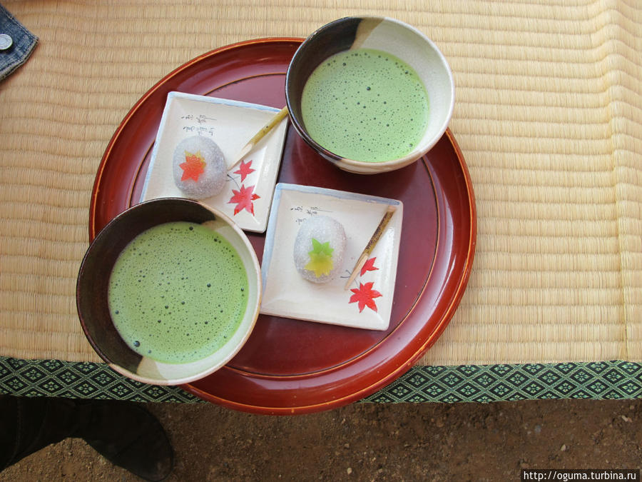 Традиционный зелёный чай матча в осеннем исполнении Япония
