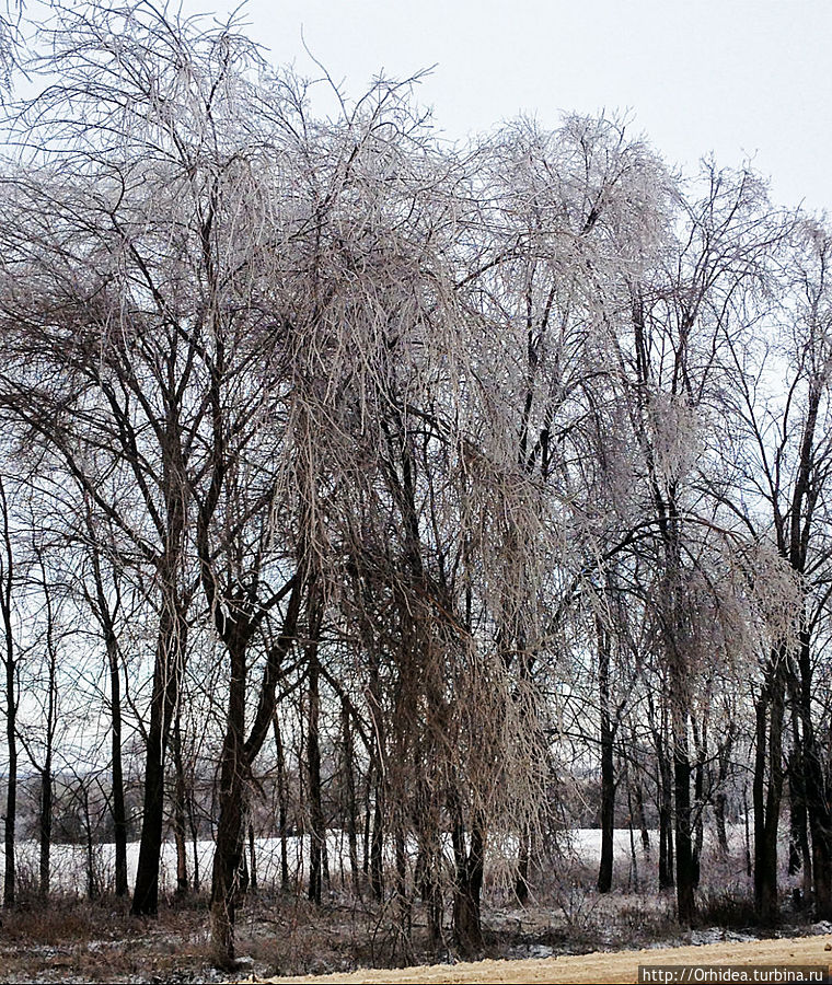 Вспоминая зиму 2012-2013 в Украине Украина