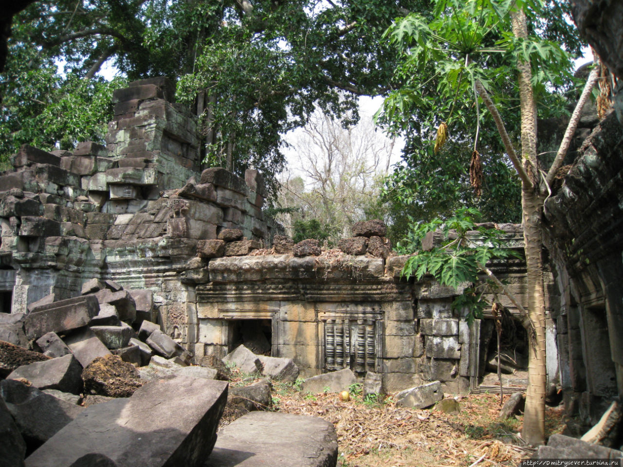 Заброшенные храмы во множестве встречаются в окрестных джунглях, стоит только сойти с тропы Ангкор (столица государства кхмеров), Камбоджа