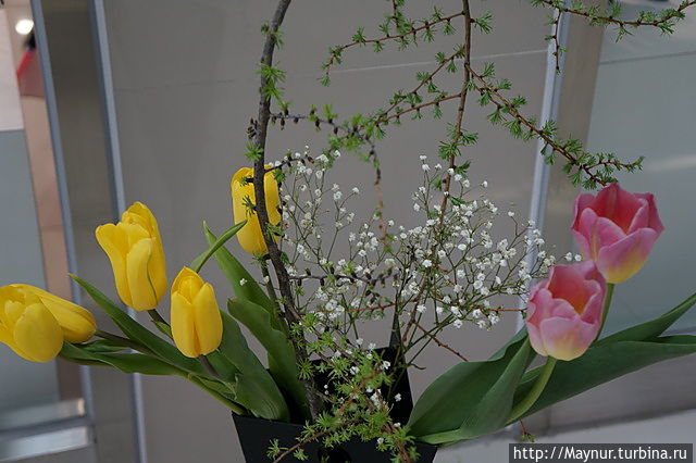 Фантазии флористов Южно-Сахалинск, Россия Фантазии флористов Южно-Сахалинск, Россия