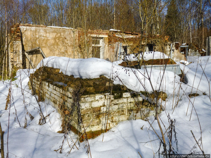 На обломках прошлого Москва и Московская область, Россия На обломках прошлого Москва и Московская область, Россия