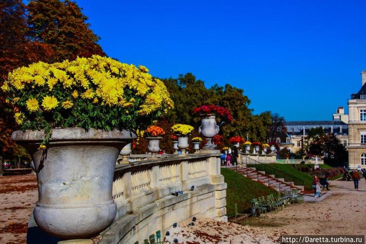 Есть у Люксембургского са Есть у Люксембургского са