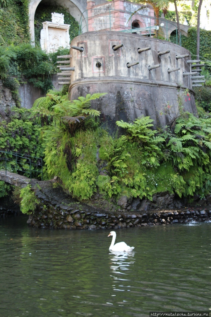 Тропический сад  дворца Монте. Фуншал, Португалия