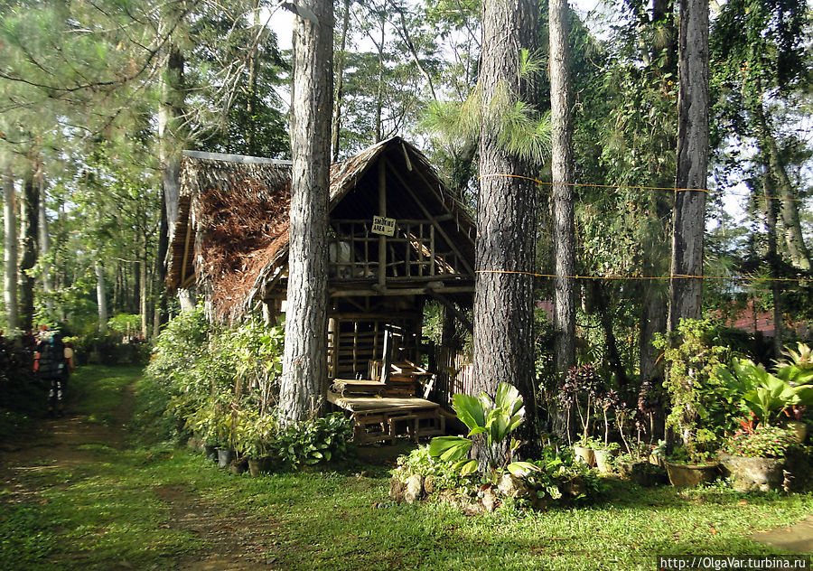 Даже выделено отдельное место для курящих. Вообще на Минданао борьба с курением идет успешно, курить нельзя нигде Даже выделено отдельное место для курящих. Вообще на Минданао борьба с курением идет успешно, курить нельзя нигде