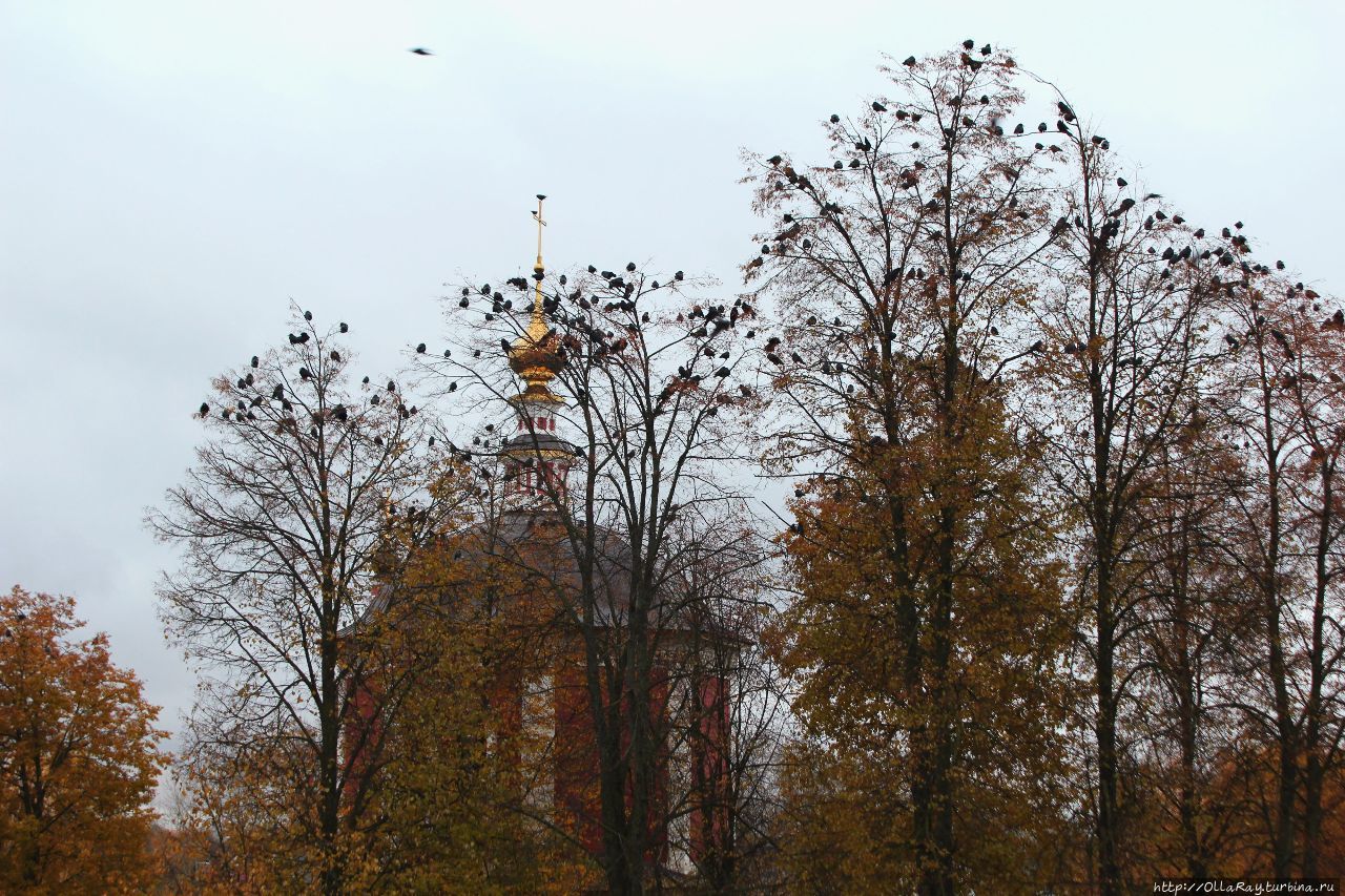 Вид с вала на Успенскую церковь Суздаль, Россия