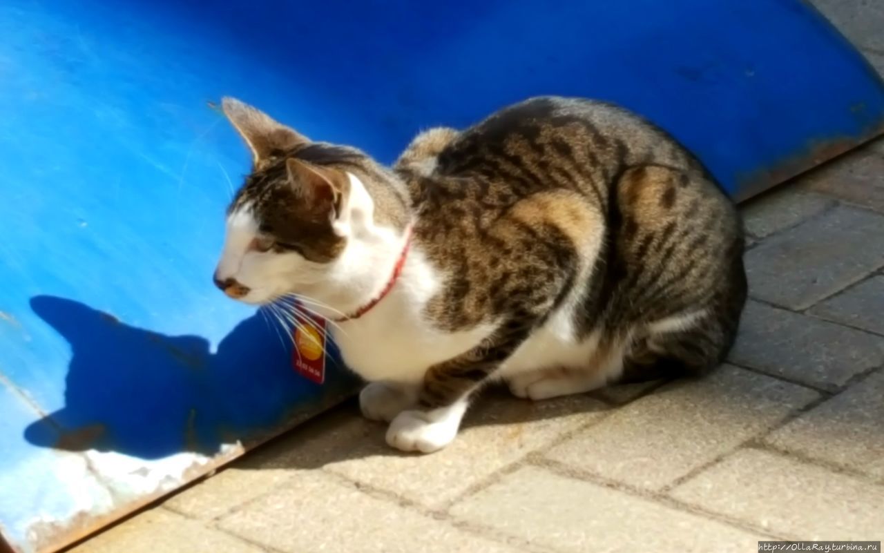 В Юрмалу в мае Юрмала, Латвия В Юрмалу в мае Юрмала, Латвия