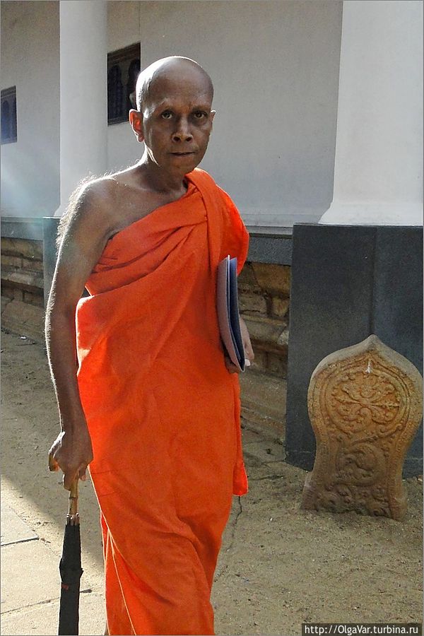 *Монах в красном Канди, Шри-Ланка