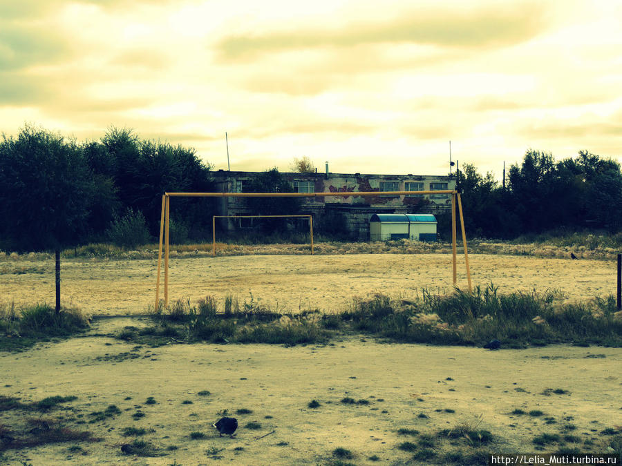 Чайки в Челябинске... Чайки в Челябинске...