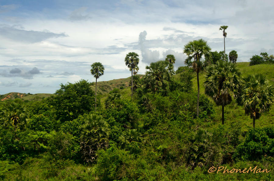 Индонезия. Остров Ринча Остров Ринка, Индонезия Индонезия. Остров Ринча Остров Ринка, Индонезия