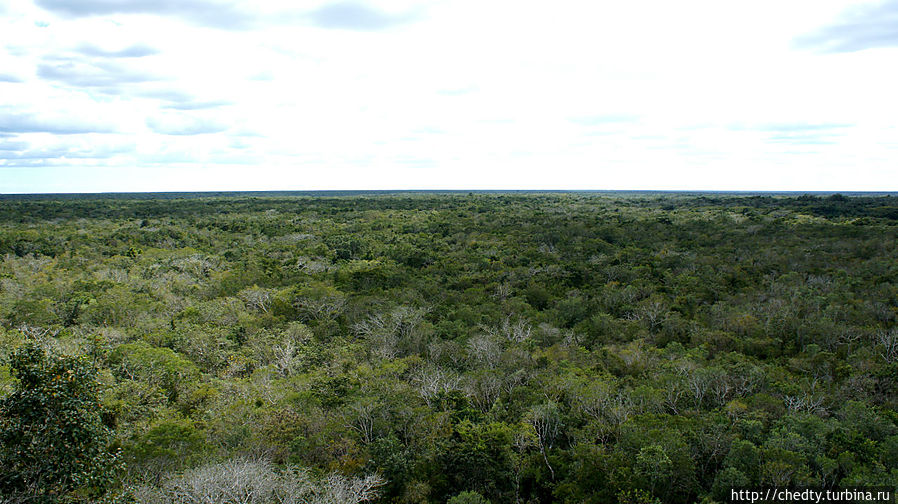 Даже при примитивном земледелии эта земля кормила миллионное население Империи Майя Даже при примитивном земледелии эта земля кормила миллионное население Империи Майя
