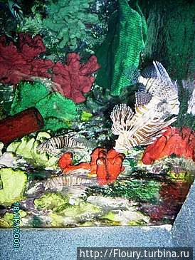 «Тропикарий-Океанарий» в ТЦ «Тропикарий-Океанарий» в ТЦ