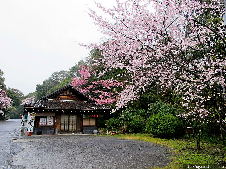 Ресторан на прилегающей территории, где можно отведать Ресторан на прилегающей территории, где можно отведать