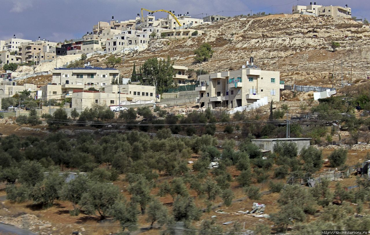 Палестина: земля олив и виноградников. Объект ЮНЕСКО №1492 Восточный Иерусалим, Палестина