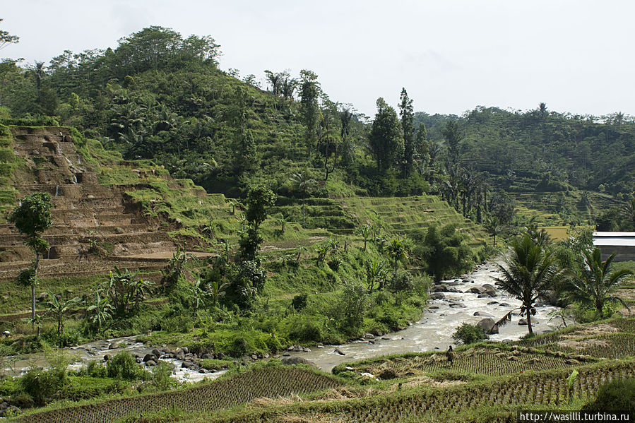 Центральная Ява. Центральная Ява.