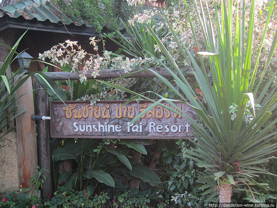 Sunshine resort