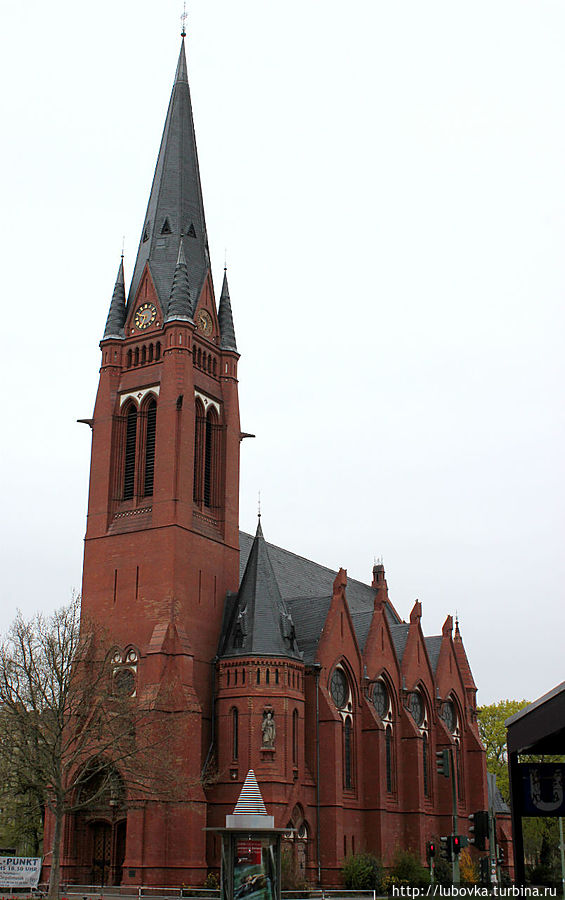 Дуб Кайзера Берлин, Германия Дуб Кайзера Берлин, Германия