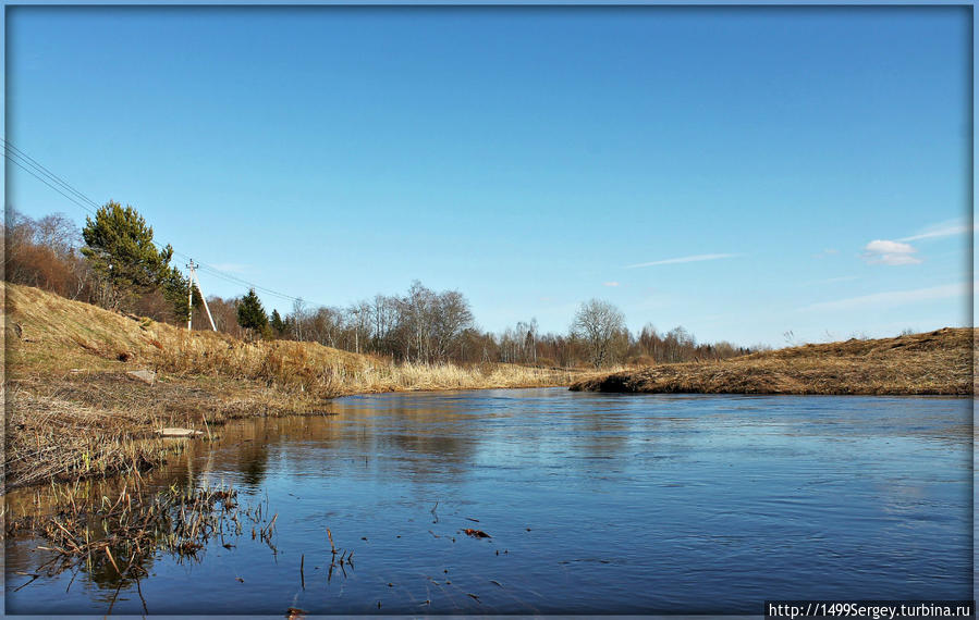 Река Коваш. Под весенним солнцем Сосновый Бор, Россия