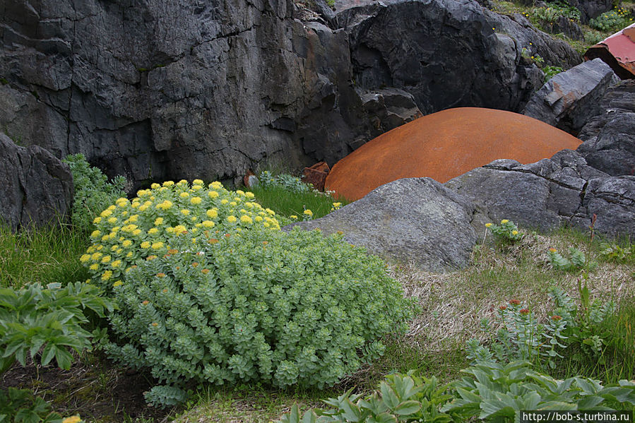 Ржавый камень. В этих местах полно железа Ржавый камень. В этих местах полно железа