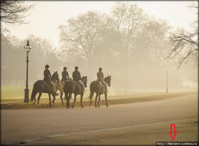Итоги недели 14-20 апреля Итоги недели 14-20 апреля