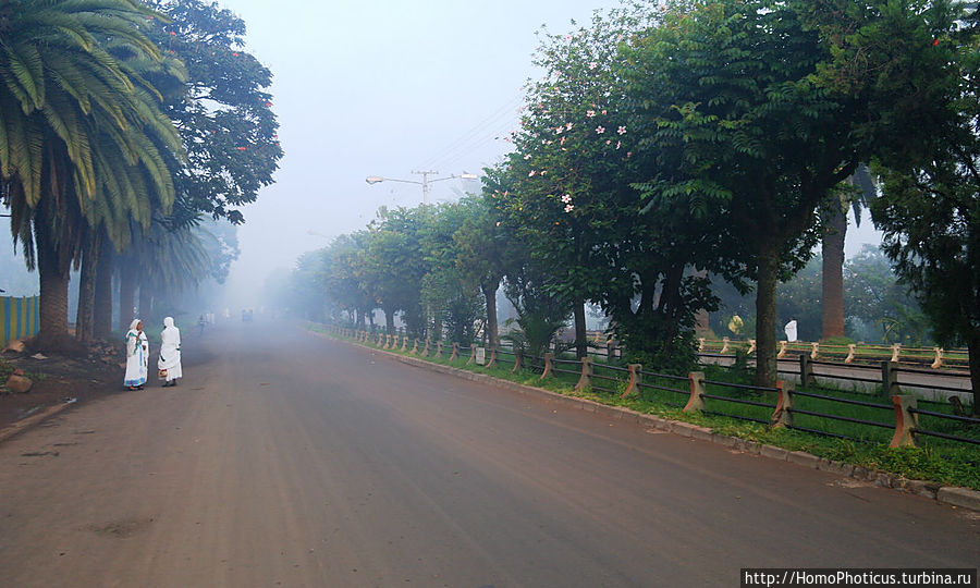Утро после праздника Утро после праздника