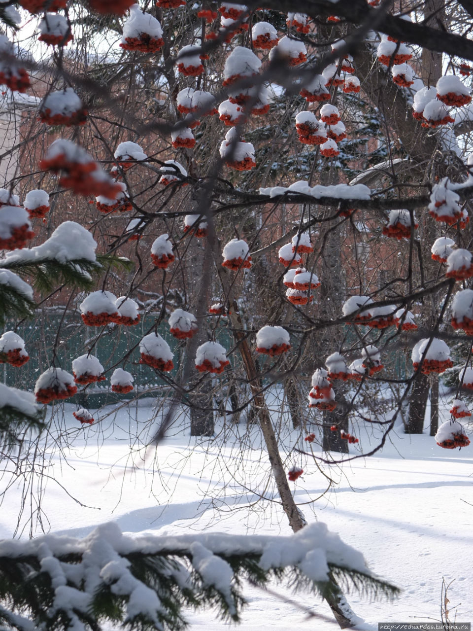 Томск каменный и деревянный Томск, Россия Томск каменный и деревянный Томск, Россия