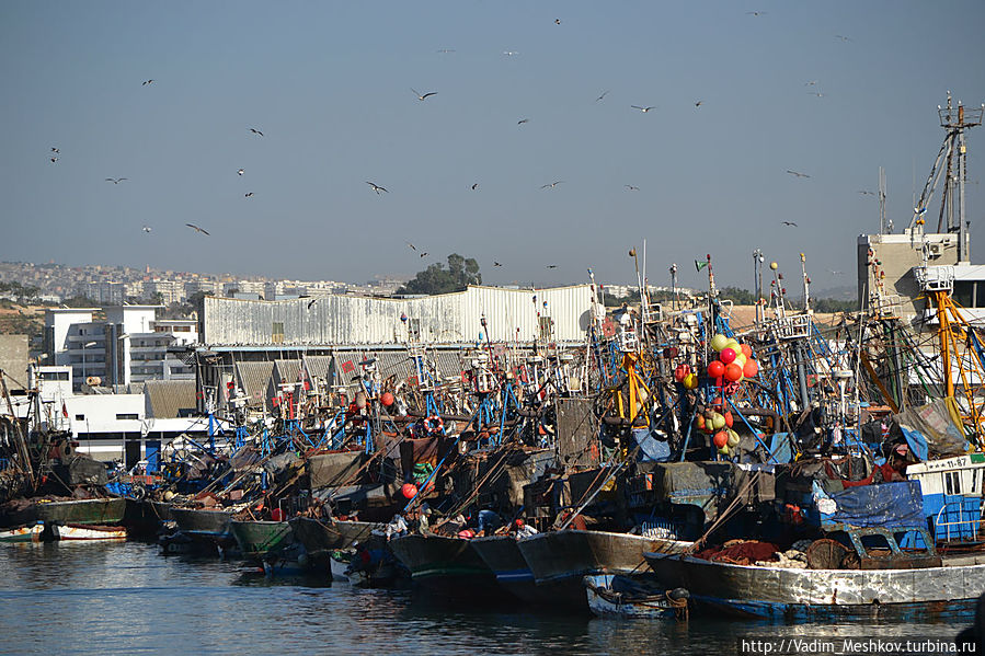 В Агадире расположен самый крупный рыболовецкий порт страны. Проспект Порта окружен заводами консервов и насчитывает несколько ресторанов сардин. Агадир, Марокко