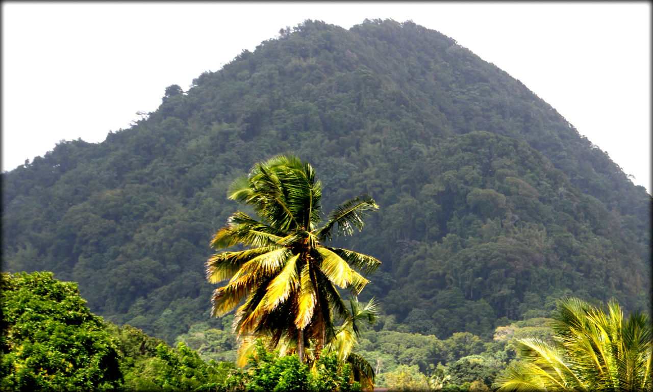 Второе знакомство с Мартиникой Округ Сен-Пьер, Мартиника